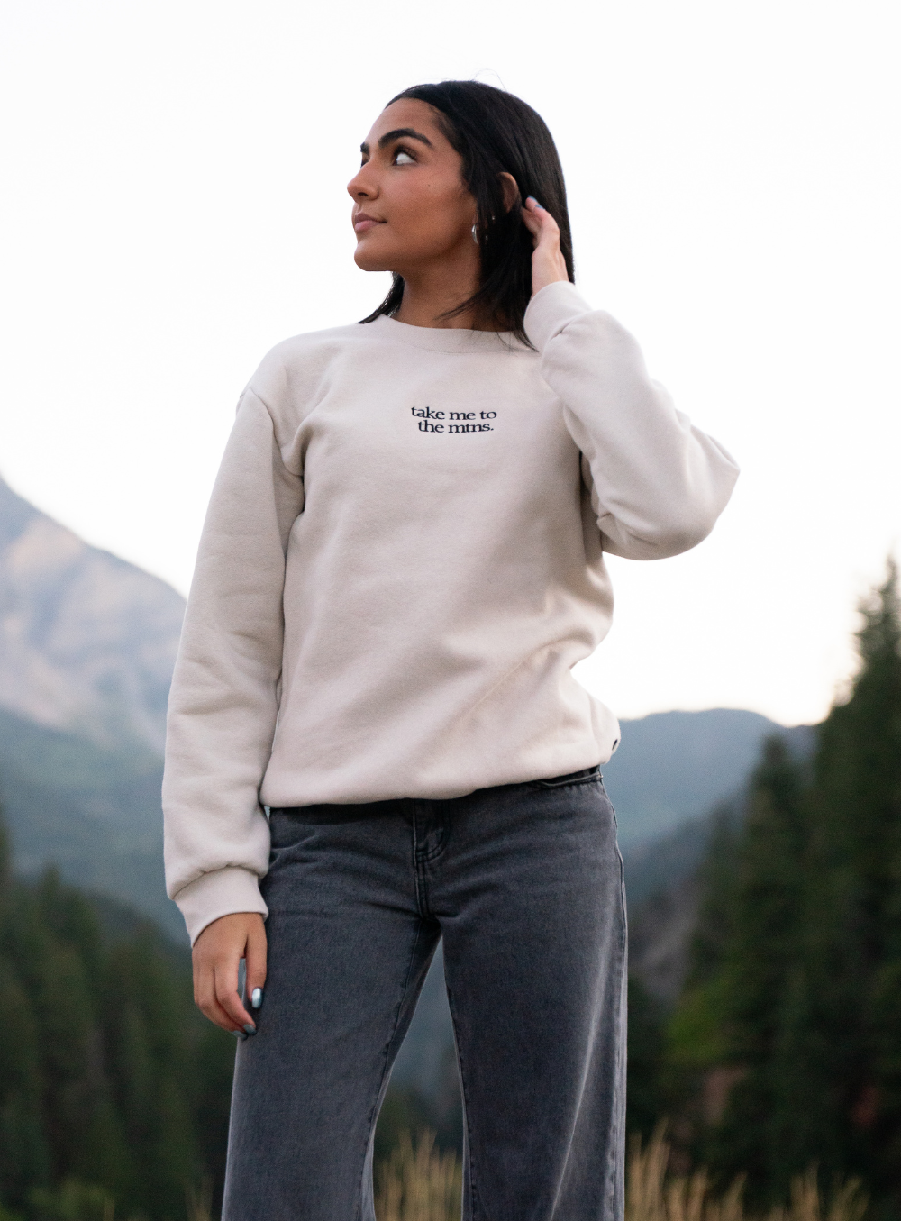 Take Me to the Mtns. sweatshirt (pre-order)