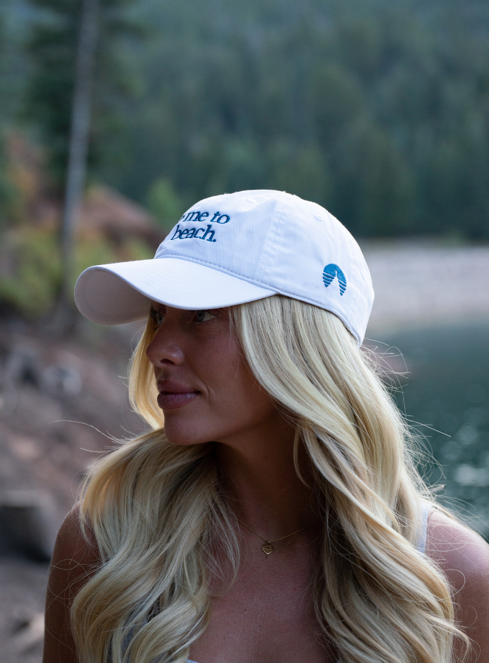 Take Me to the Beach Dad cap (pre-order)