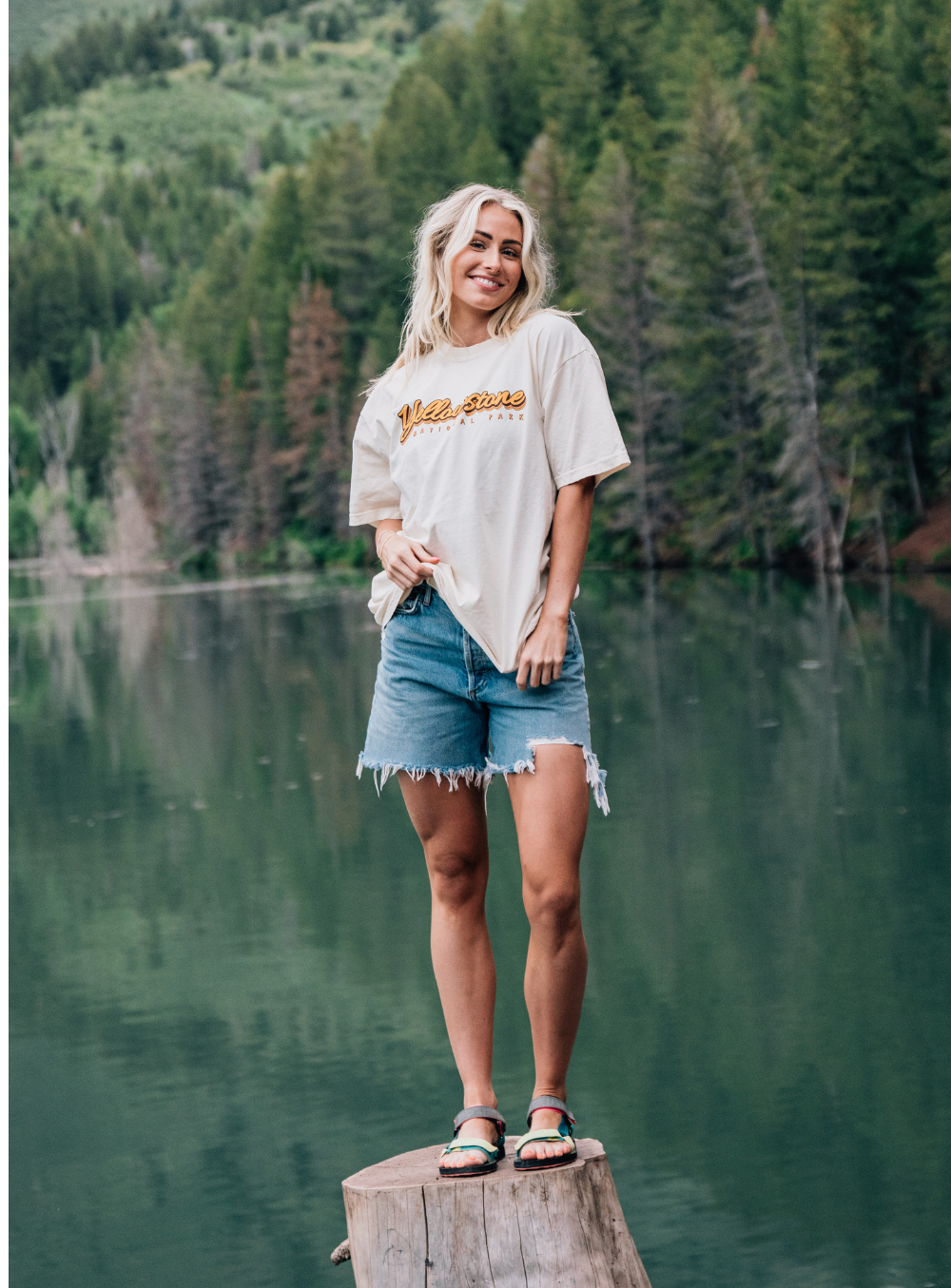 Yellowstone National Park Tee