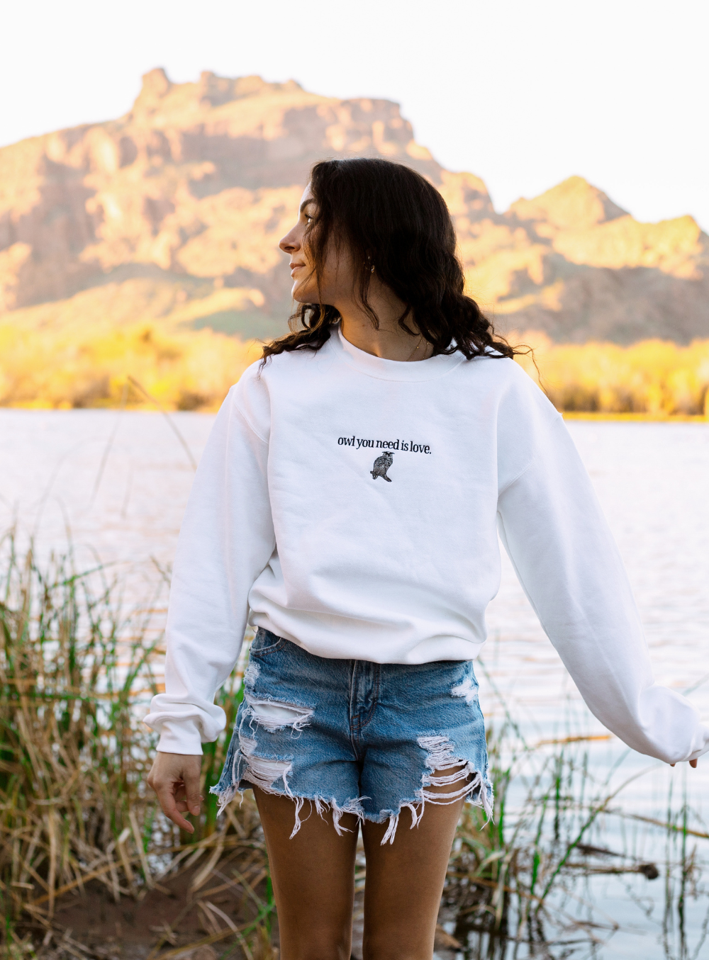 Owl Sweatshirt-WAREHOUSE SALE