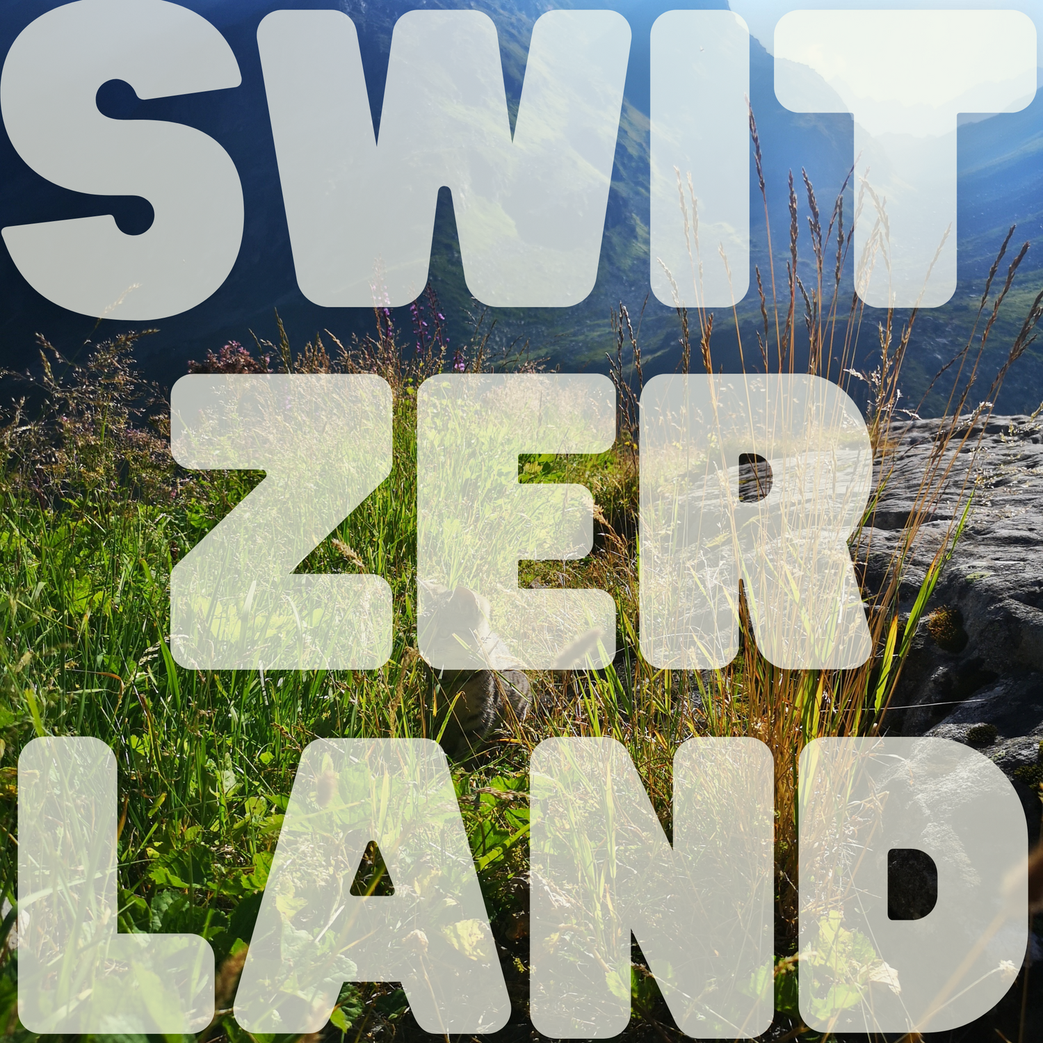 SWITZERLAND Hiking Guide w/@scanniich