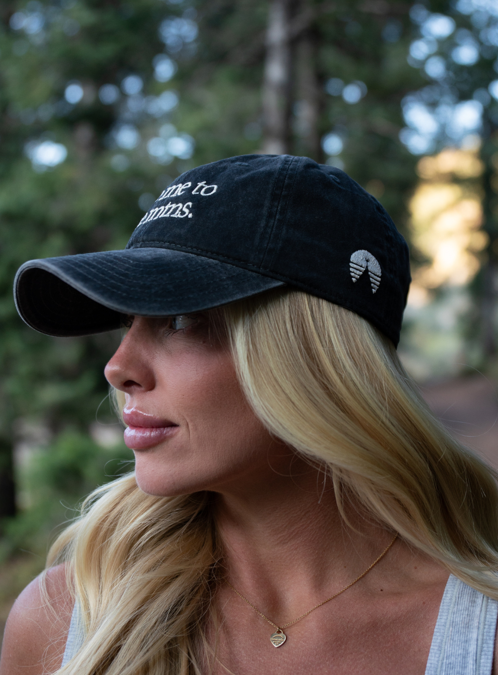Take Me to the Mtns. Dad cap (pre-order)